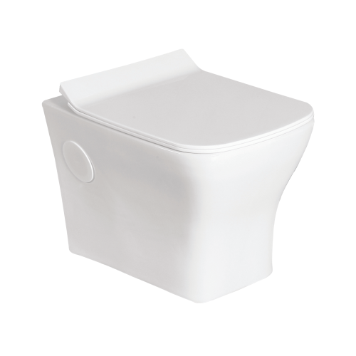 Wall Hung Flush Toilet