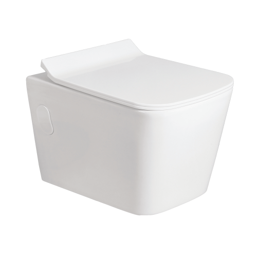 Wall Hung Flush Toilet