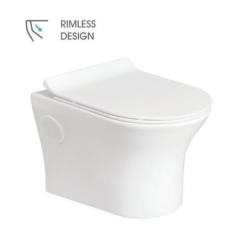 Wall Hung Flush Toilet