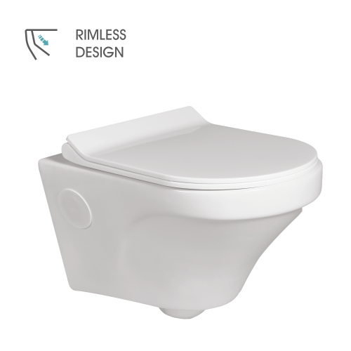 Wall Hung Flush Toilet