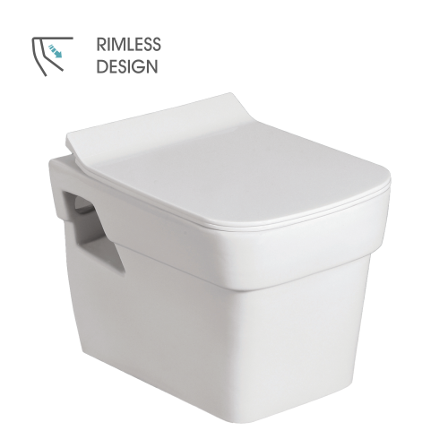 Wall Hung Flush Toilet