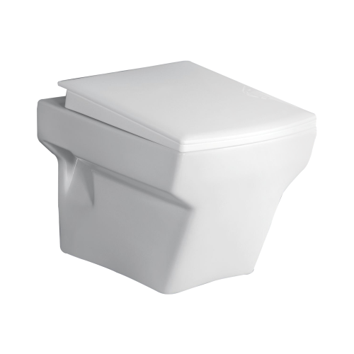 Wall Hung Flush Toilet