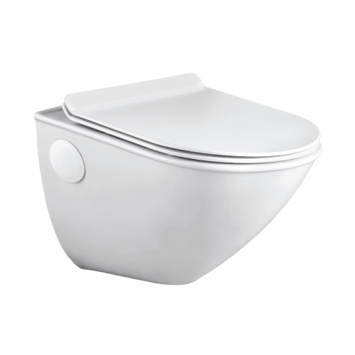 Wall Hung Flush Toilet