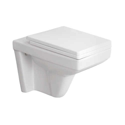Wall Hung Flush Toilet