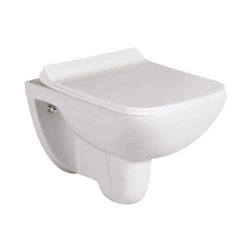 Wall Hung Flush Toilet