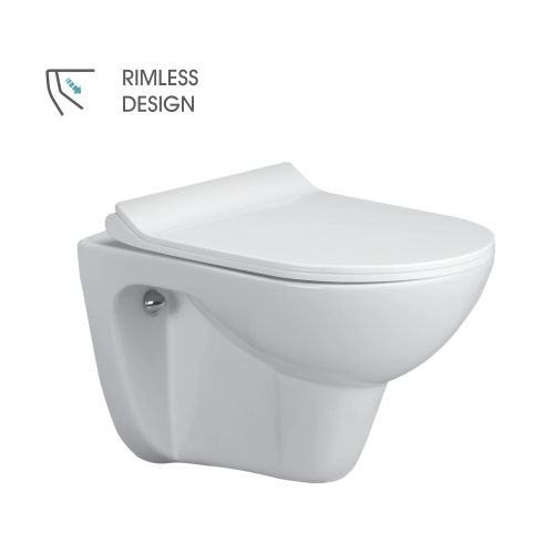 Wall Hung Flush Toilet