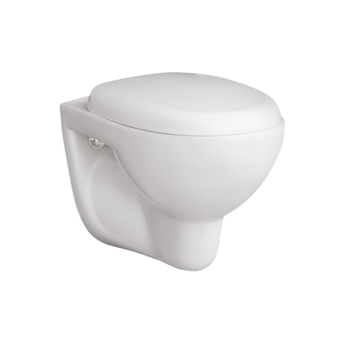 Wall Hung Flush Toilet