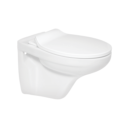 Wall Hung Flush Toilet