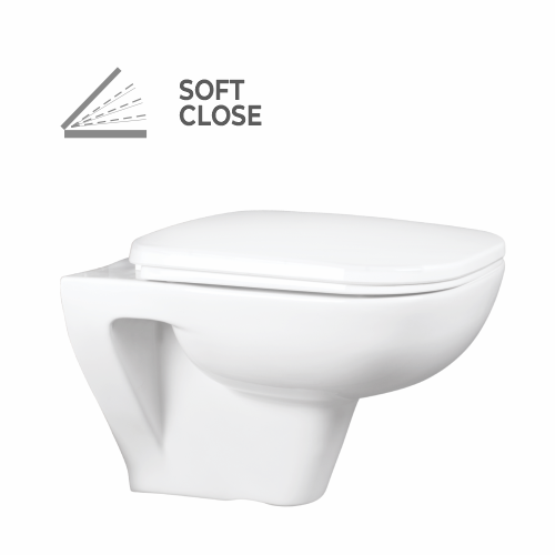 Wall Hung Flush Toilet