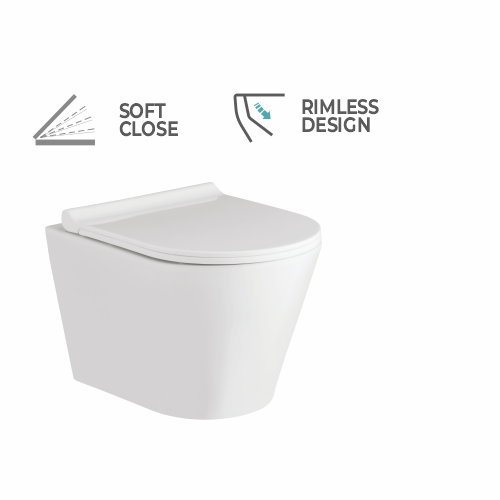 Wall Hung Flush Toilet